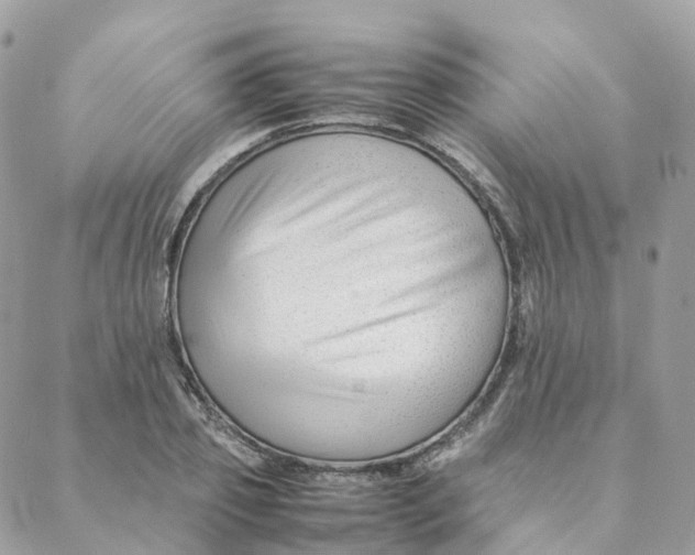 X0000088090933200706011600