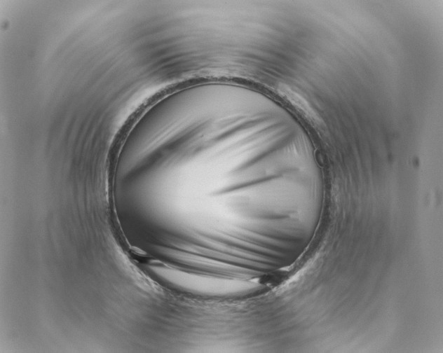 X0000088090934200706011600