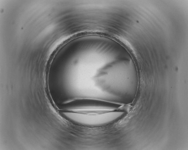 X0000088090935200706011600