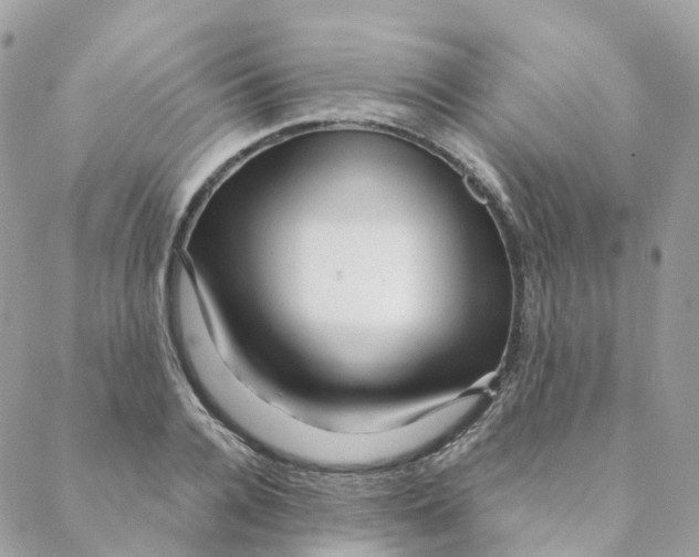 X0000088090936200706011600