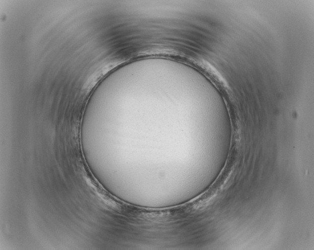 X0000088090937200706011600