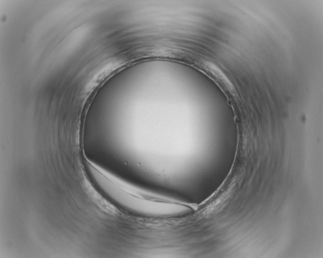 X0000088090938200706011600