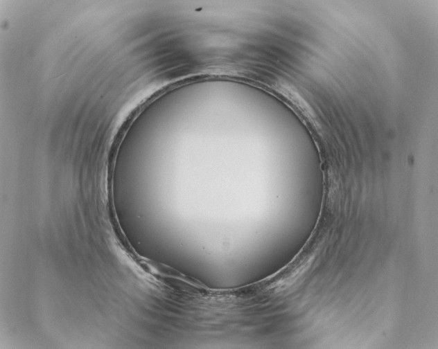 X0000088090939200706011600