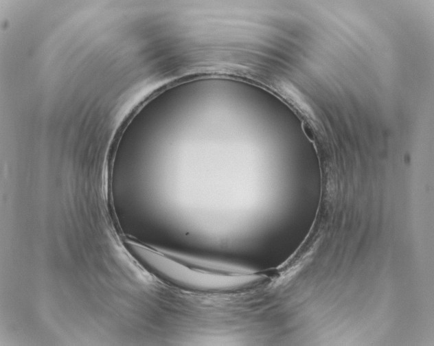 X0000088090940200706011600