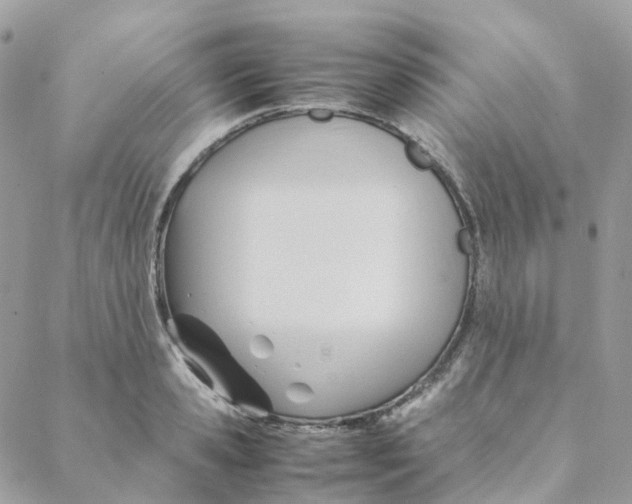 X0000088090941200706011600