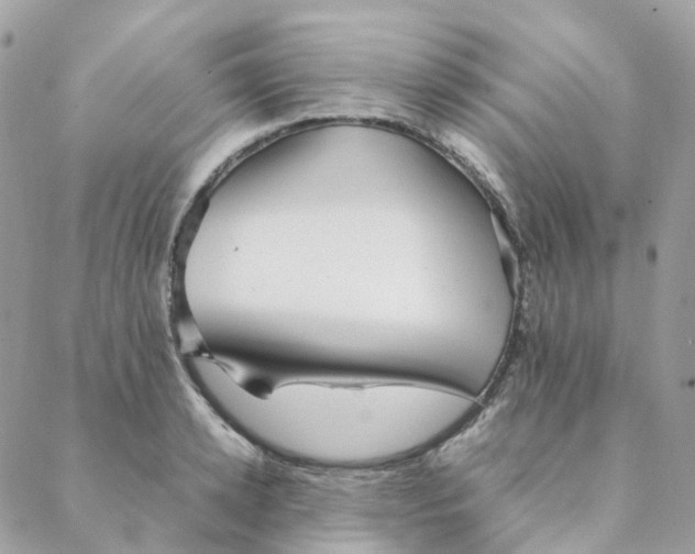 X0000088090942200706011600