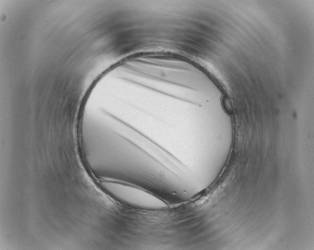 X0000088090943200706011600