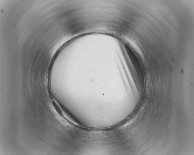 X0000088090944200706011600