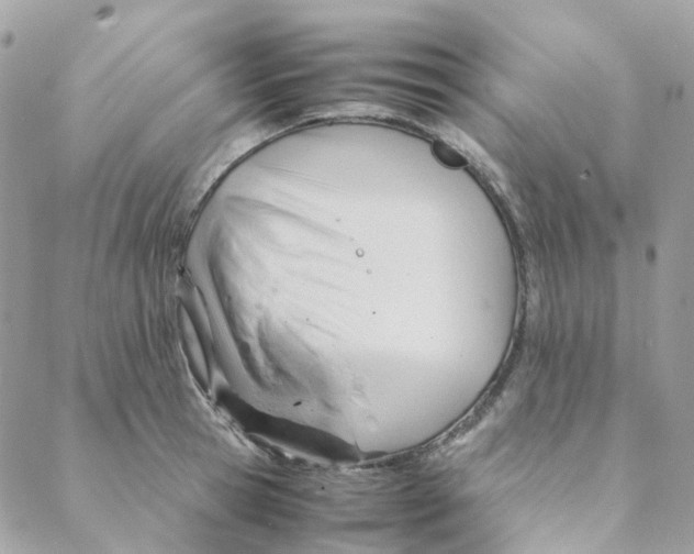 X0000088090945200706011600