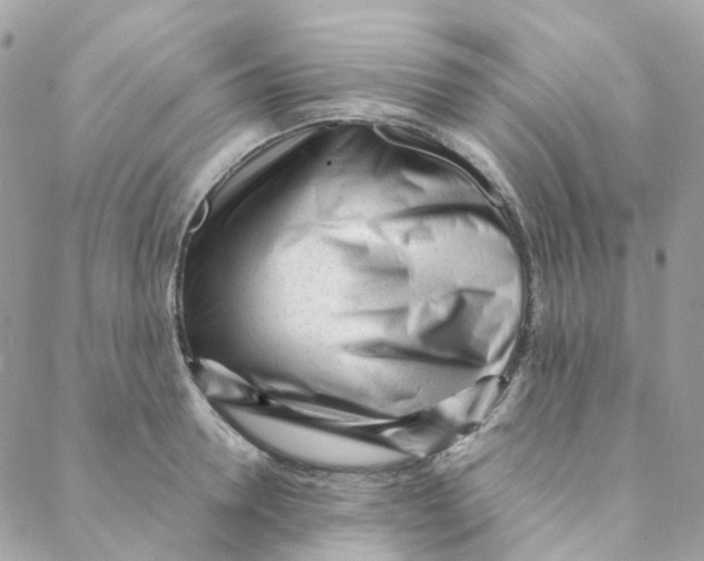 X0000088090946200706011600