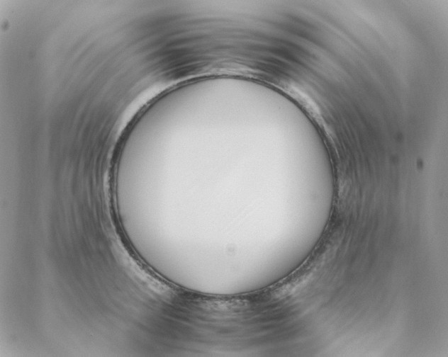 X0000088090947200706011600