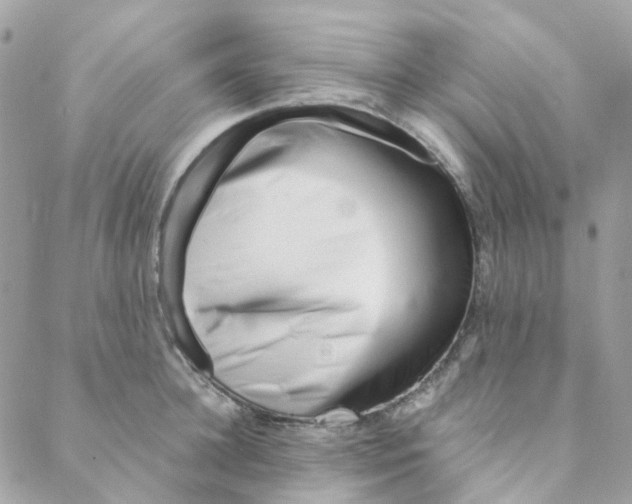 X0000088090948200706011600