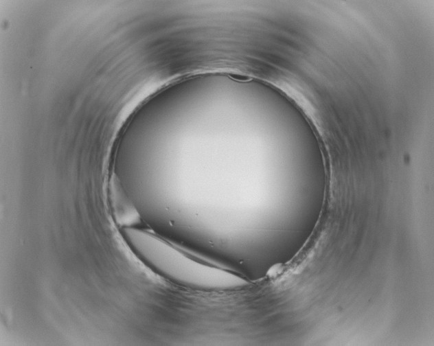 X0000088090949200706011600