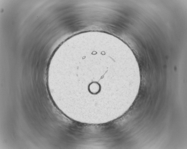 X0000088090950200706011600