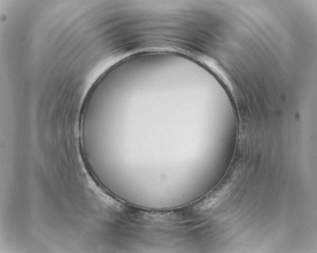 X0000088090951200706011600