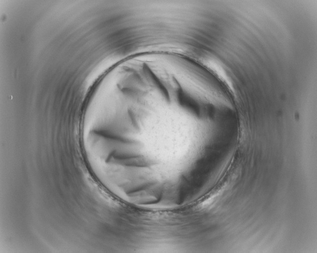 X0000088090952200706011600