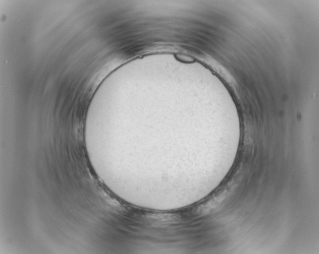 X0000088090953200706011600