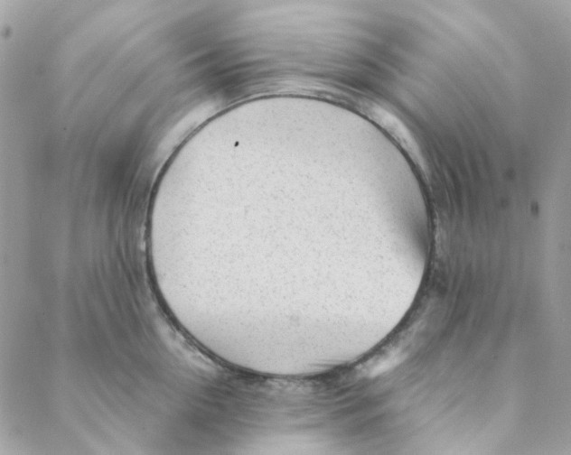 X0000088090954200706011600