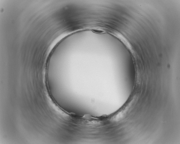 X0000088090955200706011600