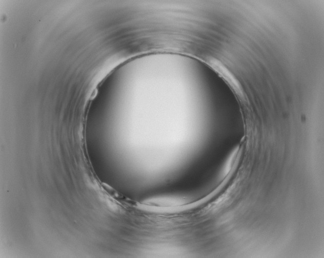 X0000088090956200706011600