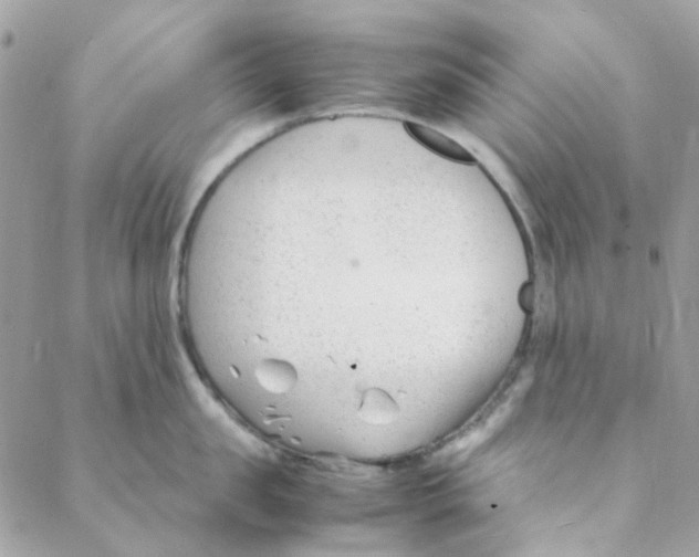 X0000088090957200706011600