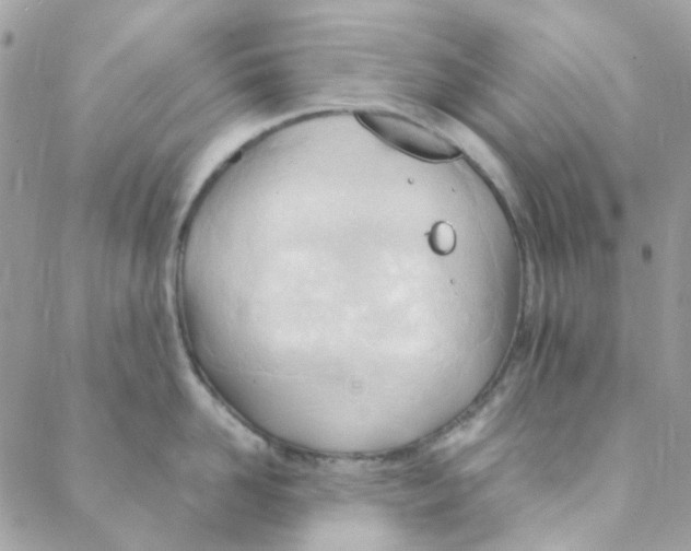 X0000088090958200706011600