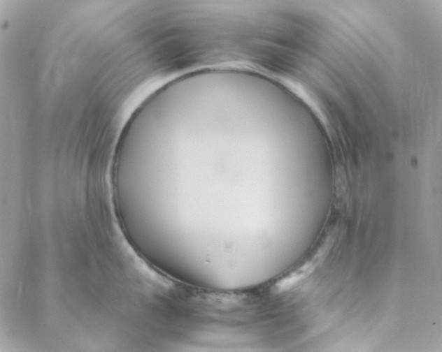 X0000088090959200706011600