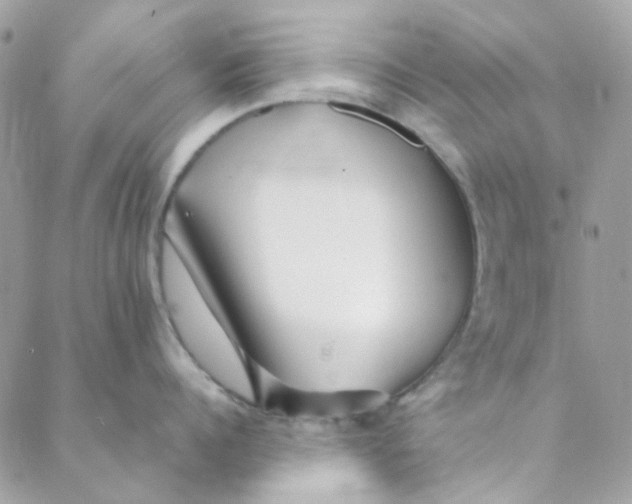 X0000088090960200706011600