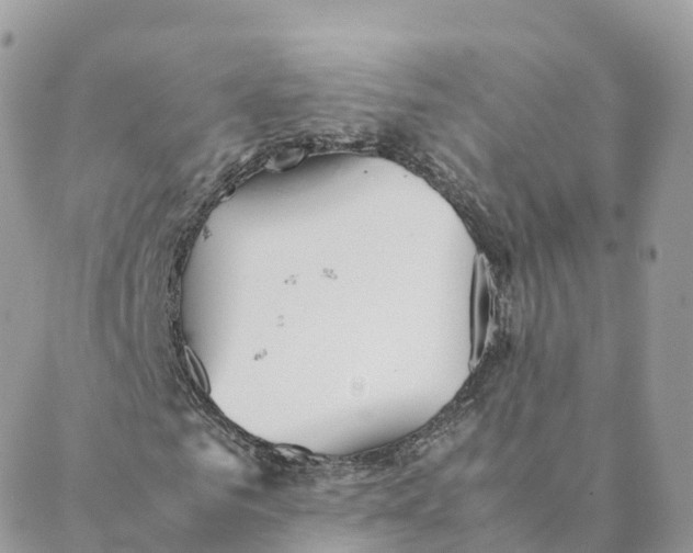 X0000088090961200706011559