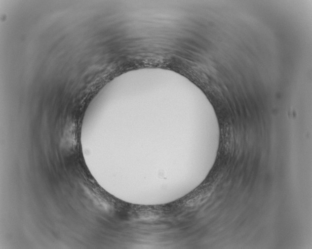 X0000088090962200706011559