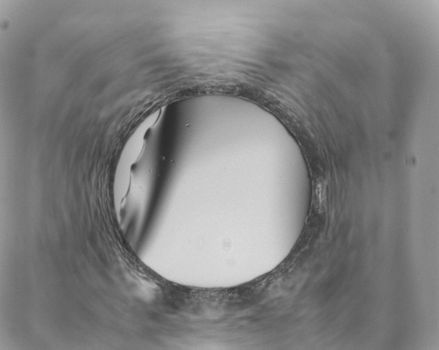 X0000088090963200706011559