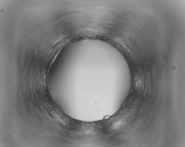 X0000088090964200706011559