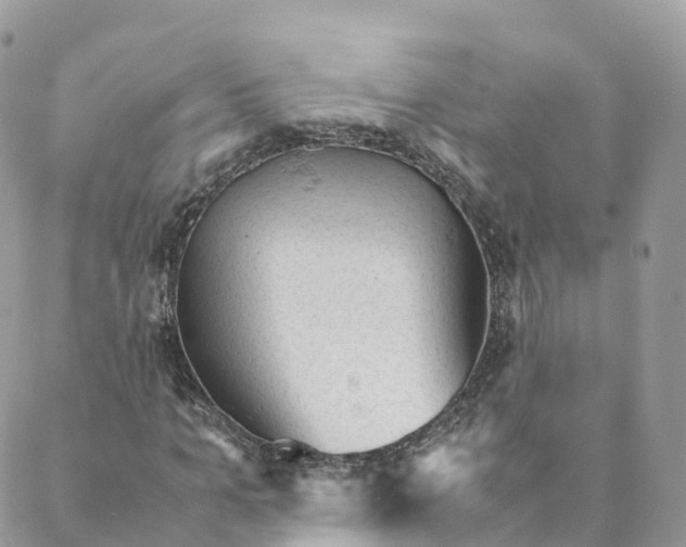 X0000088090965200706011559