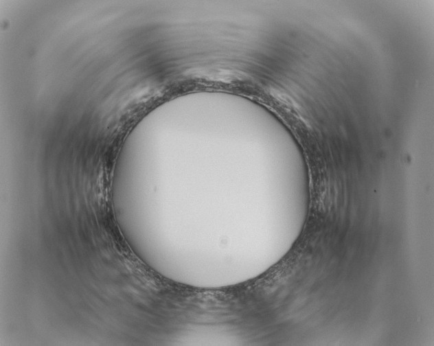 X0000088090966200706011559