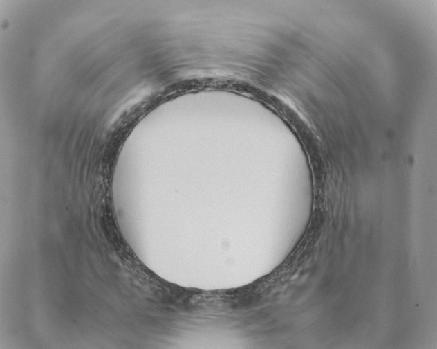 X0000088090967200706011559