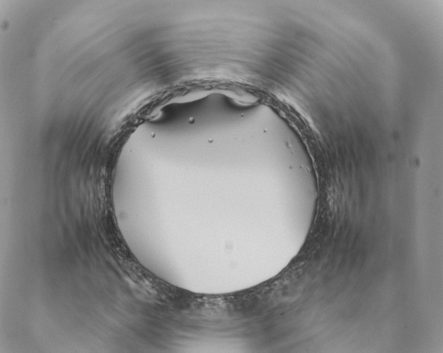 X0000088090968200706011559