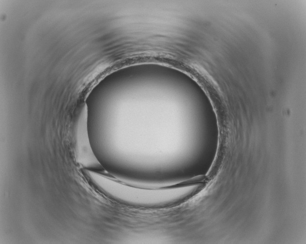 X0000088090969200706011559