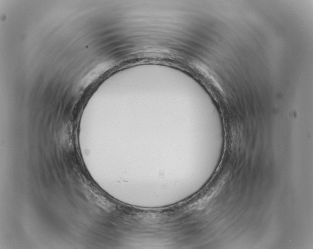 X0000088090970200706011559