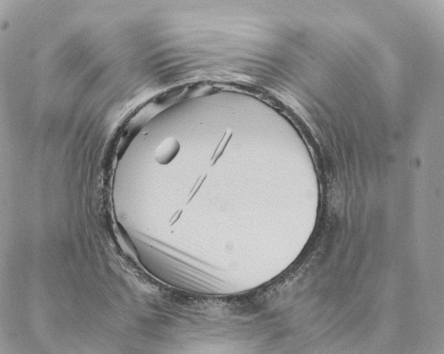 X0000088090971200706011559