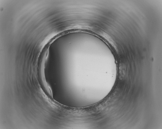 X0000088090972200706011559