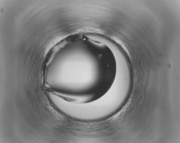 X0000088090973200706011559