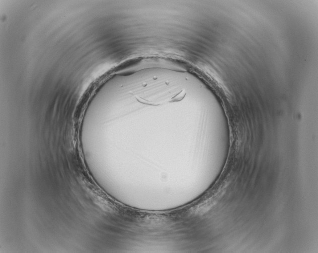 X0000088090974200706011559