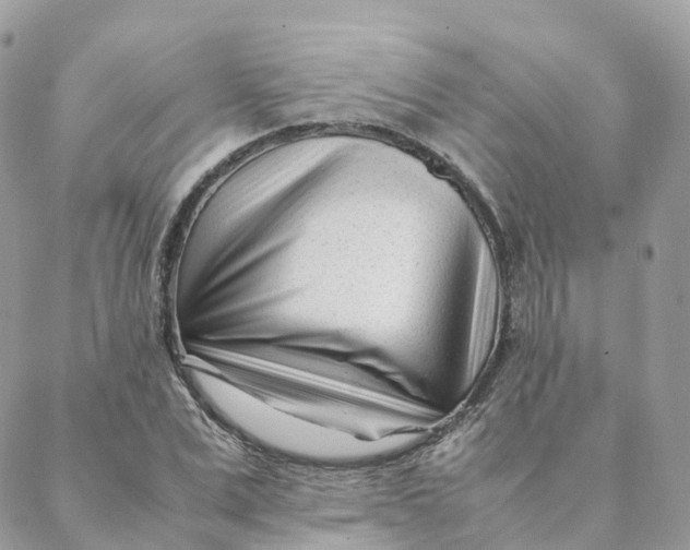 X0000088090975200706011559