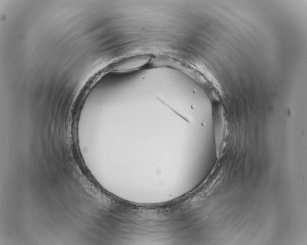 X0000088090976200706011559