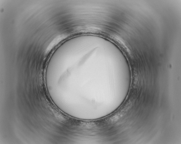 X0000088090978200706011559