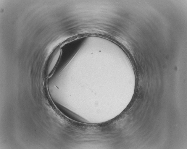 X0000088090979200706011559