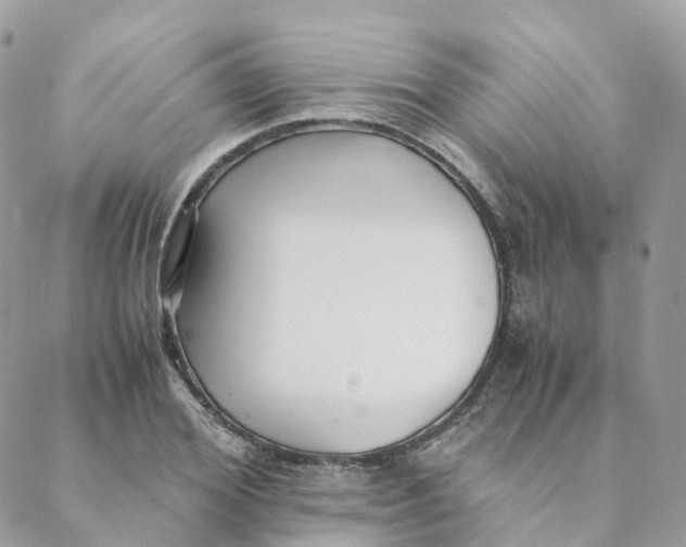 X0000088090980200706011559