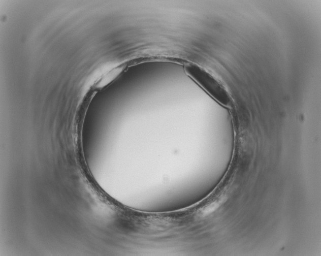 X0000088090981200706011559