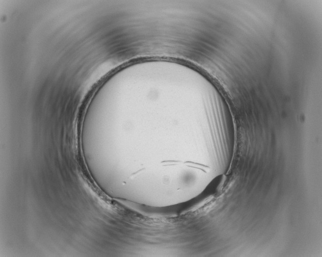 X0000088090982200706011559