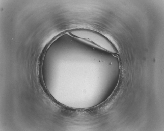 X0000088090983200706011559